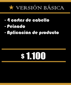 Suscripción Básica